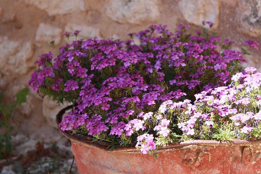 La Casa Sù Le Dimore Del Borgo Santo Stefano Di Sessanio Esterno foto